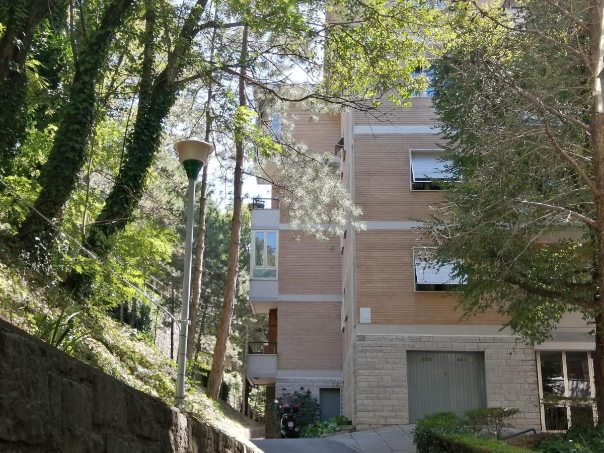 Yellow & Green Trieste Exterior foto